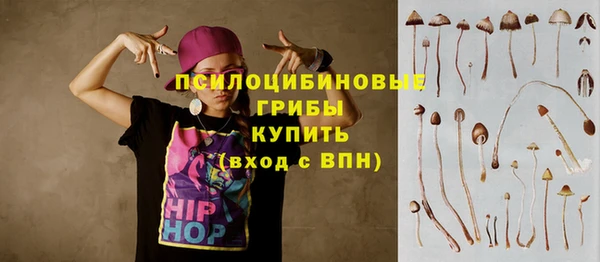 крисы Абинск