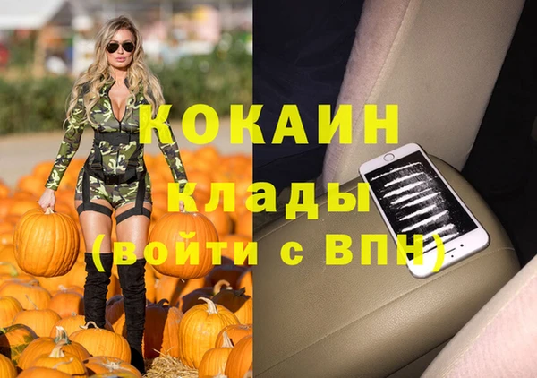 соль ск Абаза