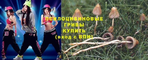 гашик Абдулино