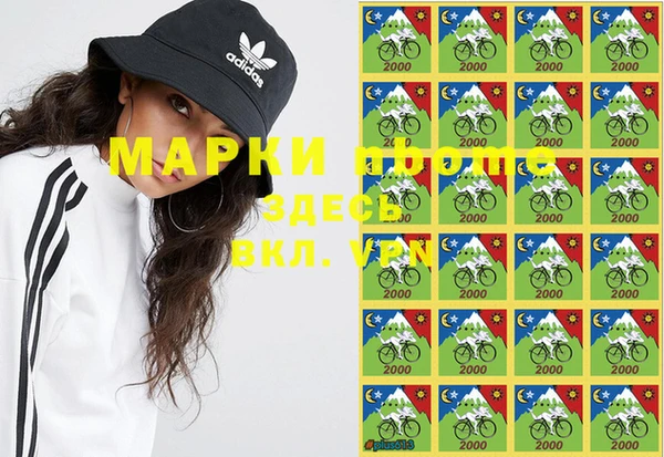 соль ск Абаза