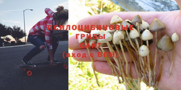 гашик Абдулино