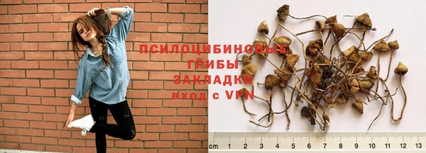 крисы Абинск