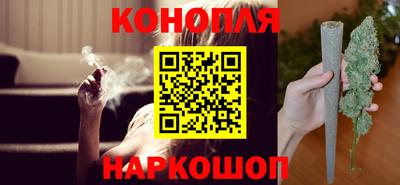 сатива Лесосибирск