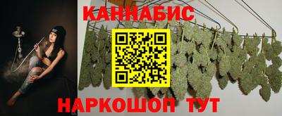 сатива Лесосибирск