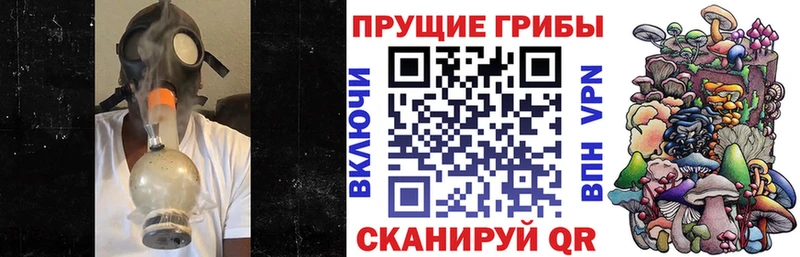 Галлюциногенные грибы Psilocybe  продажа наркотиков  Калининград 